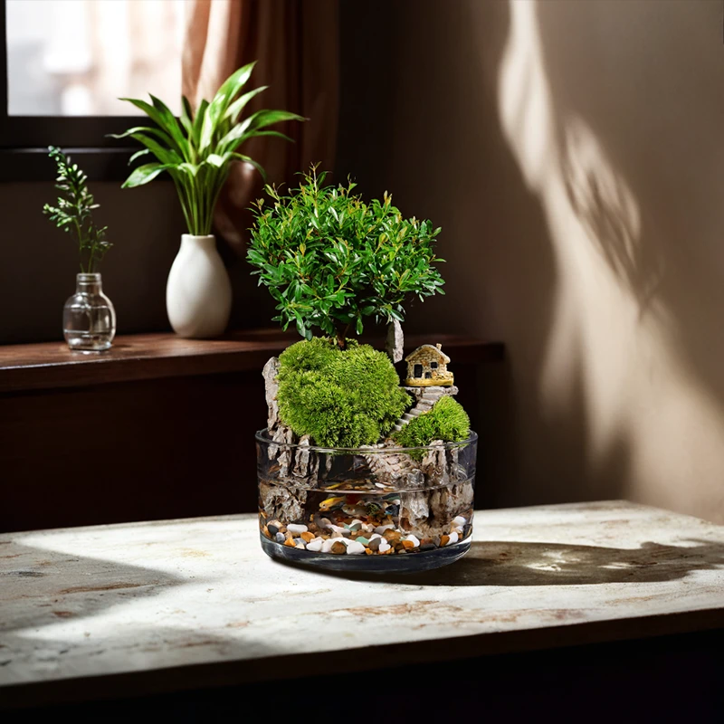 新【山居】微景观可拆洗小叶赤楠绿植桌面创意盆栽生态玻璃缸15*8