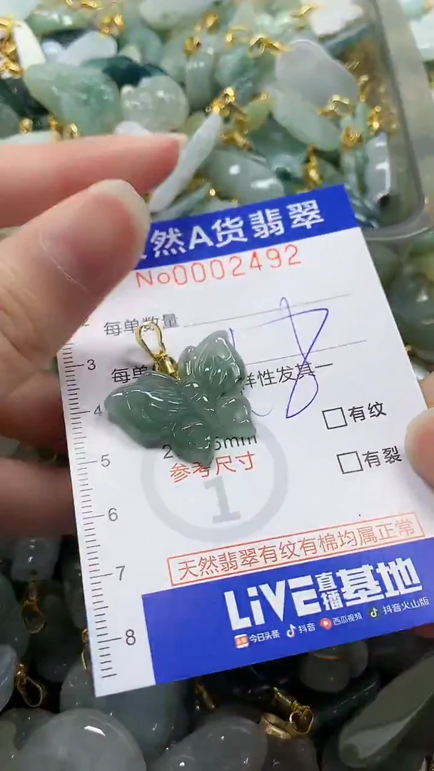 颈饰未镶嵌翡翠纯天然a货翡翠