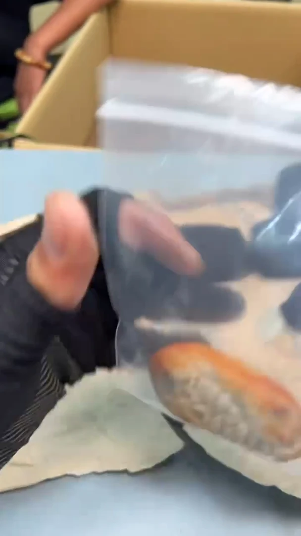 我*大紫砂道具紫砂道具