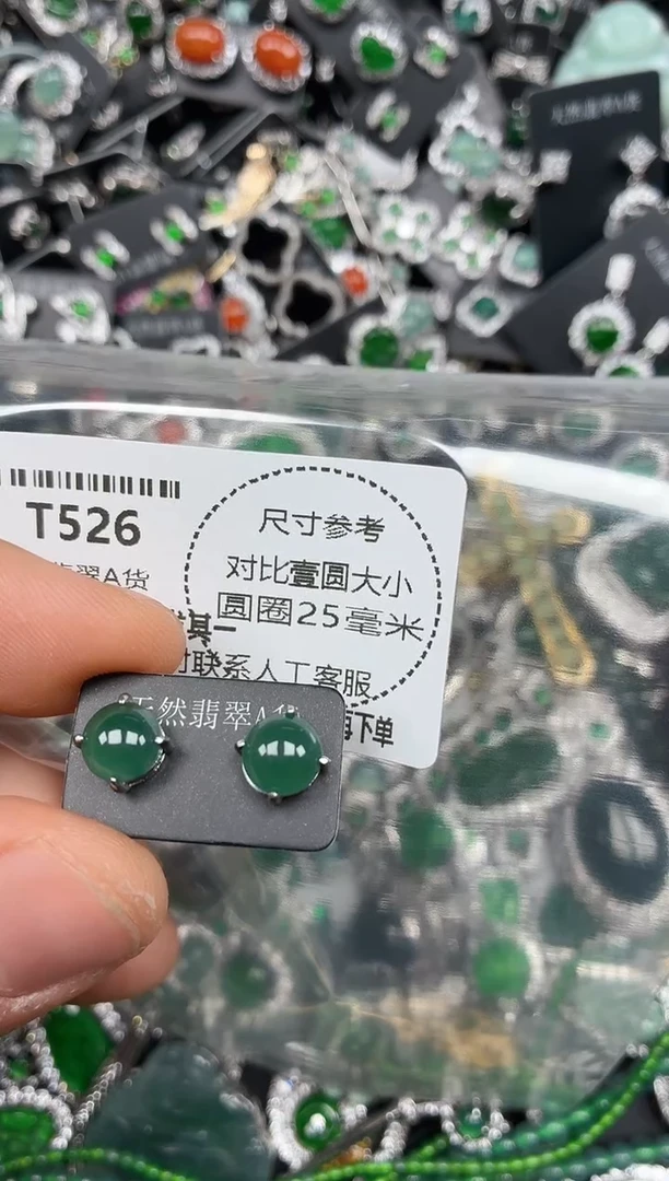 颈饰未镶嵌翡翠T526耳钉