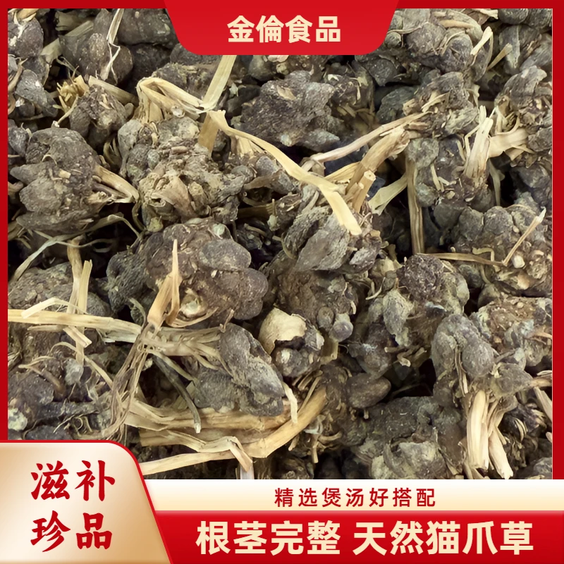 金倫猫爪草野生无硫尖爪靓货喵喵草煮水