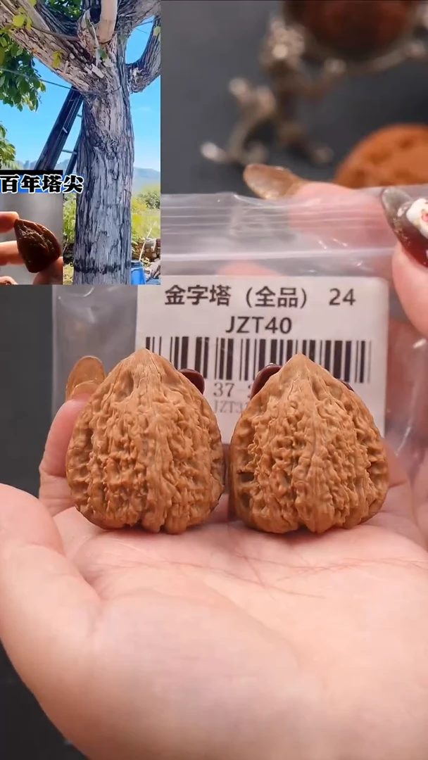 【闪购商品】文玩核桃把件37蚂蚁王金字塔（全品）