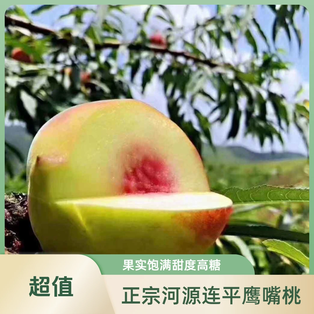(现摘带箱5斤大果/果王)正宗河源连平上坪鹰嘴桃清甜脆口广东省