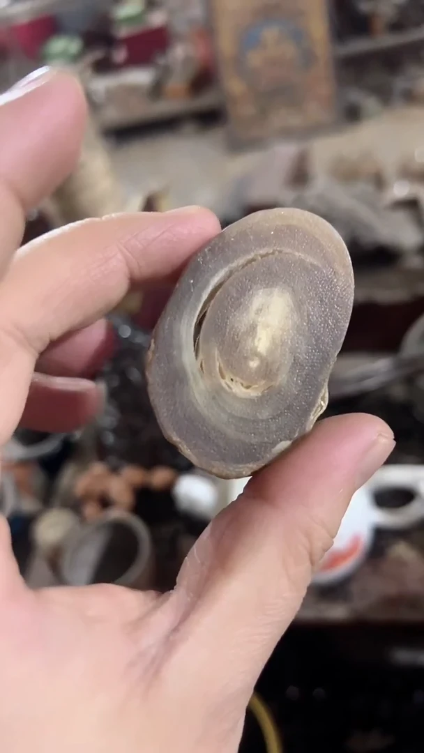 【闪购商品】紫砂紫砂紫砂紫砂