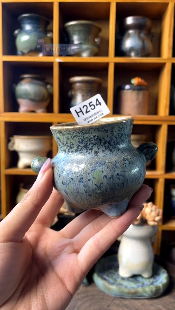 254内口5.5【多肉花盆多肉盆】