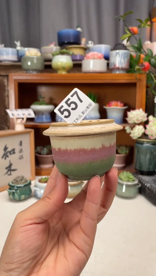 瓷片557知木小芳花盆