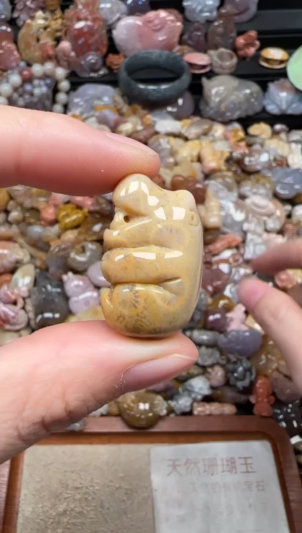 颈饰未镶嵌硅化珊瑚（珊瑚玉）702