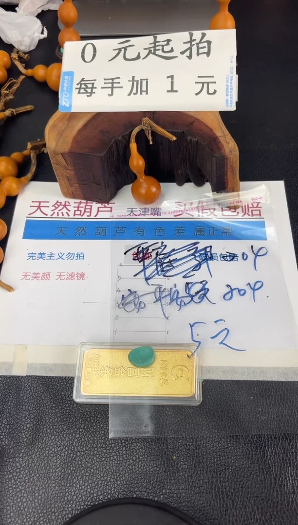 木平*红皮天津嘴葫芦204