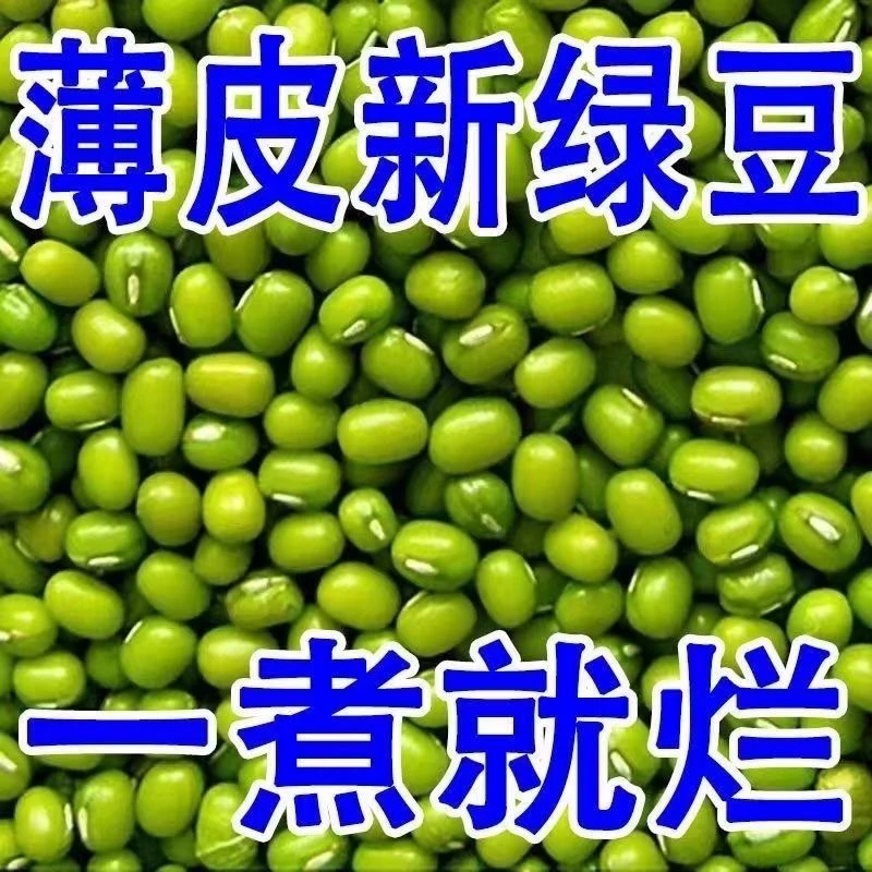 东北农家新绿豆可做绿豆沙绿豆粥绿豆汤还能生豆芽