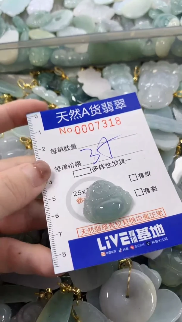 颈饰未镶嵌翡翠天然A货翡翠