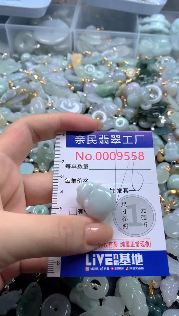 颈饰未镶嵌翡翠9558