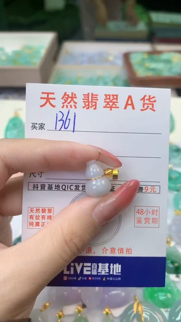 颈饰未镶嵌翡翠天然A货翡翠挂件