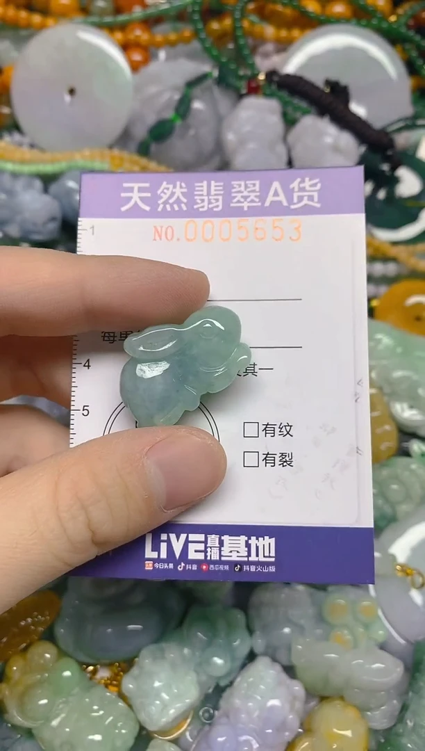 颈饰未镶嵌翡翠0005653