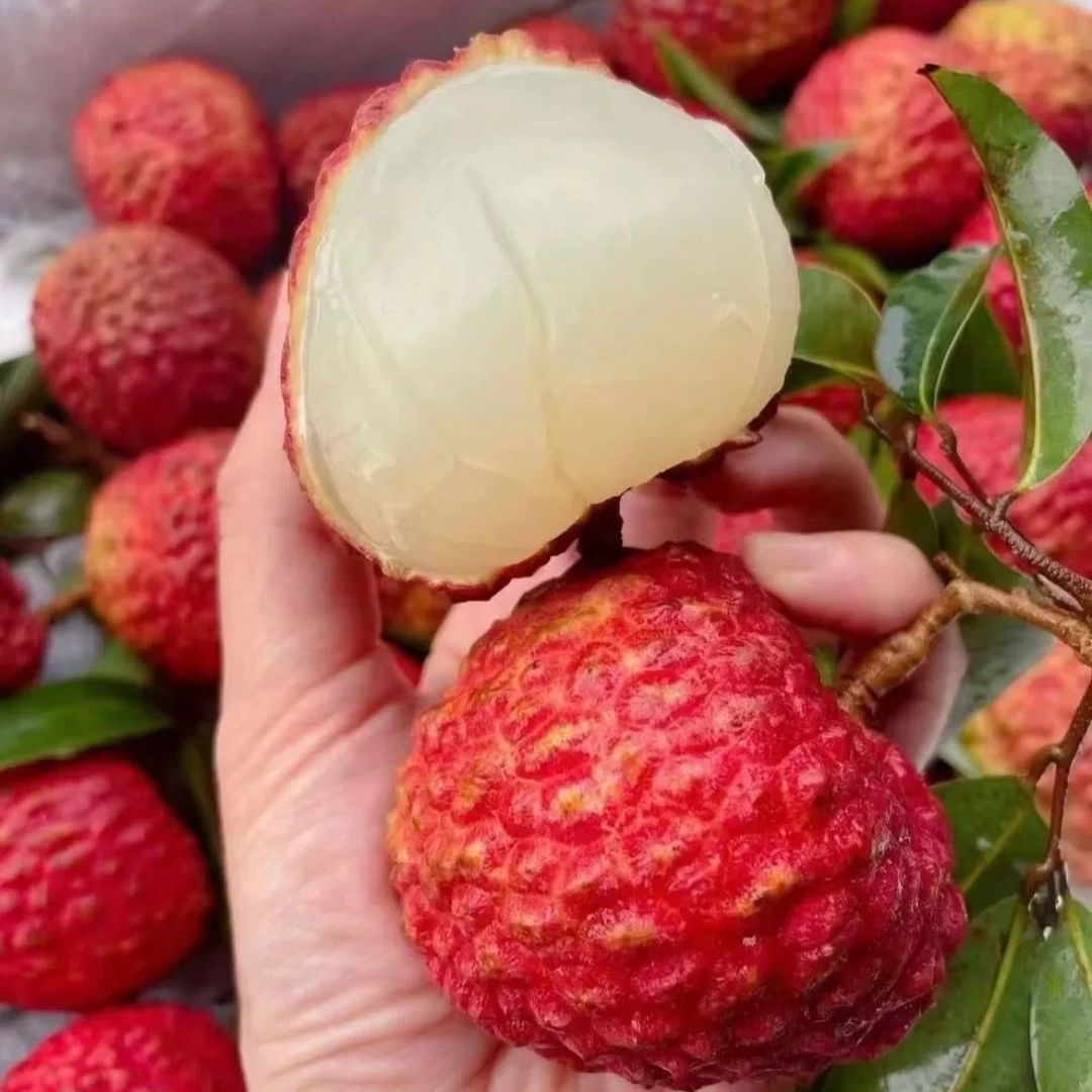 新鲜荔枝王 700g/盒广东省