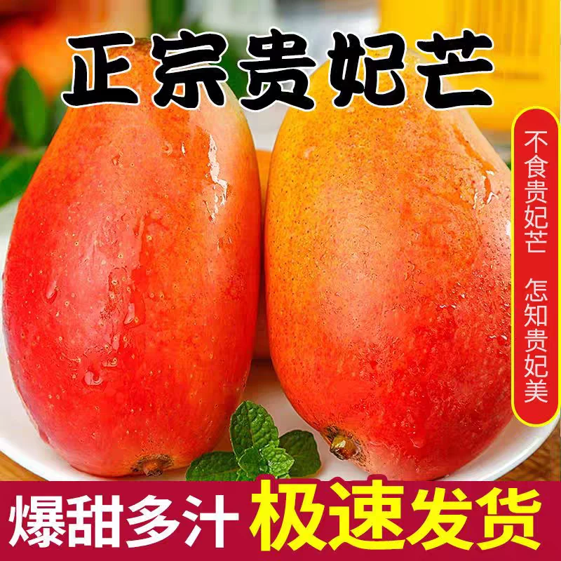 臻选云南金凤凰时令水果贵妃芒果香甜爆汁新鲜现摘甜心芒【放熟吃】