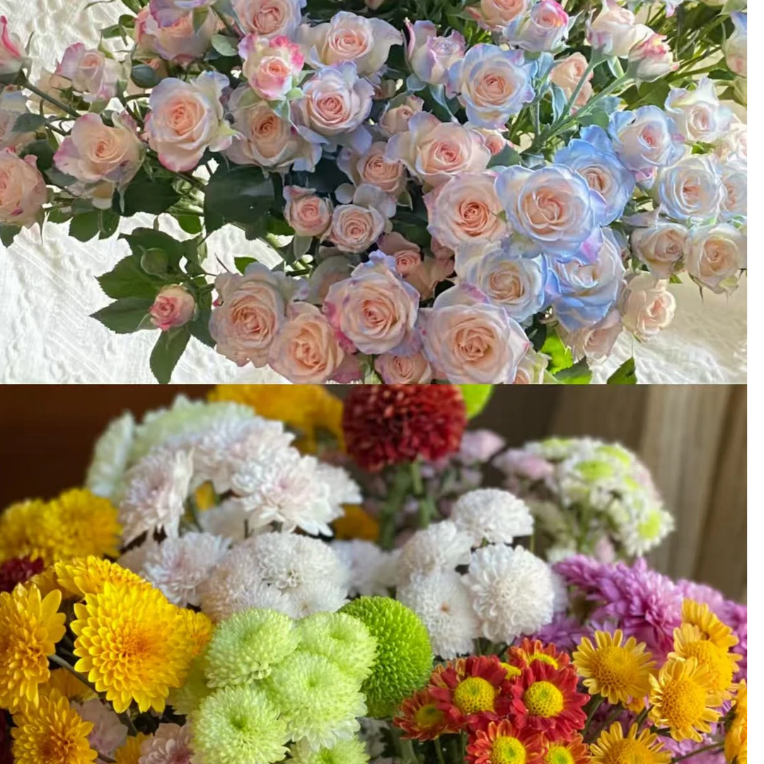 【04 折射碎冰蓝10枝+混色小雏菊10枝】任意两单升级顺丰/德邦空运