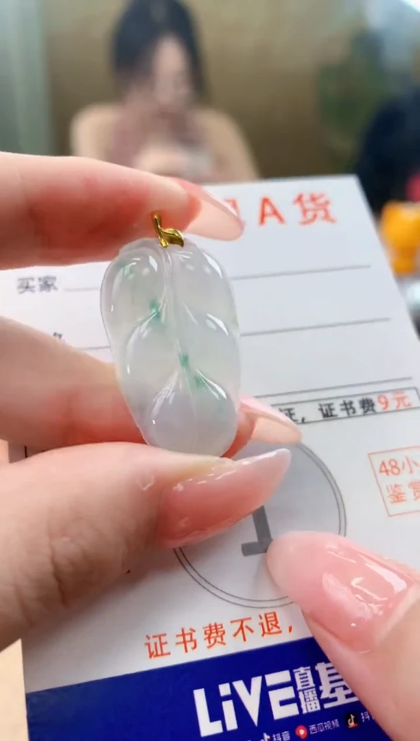 颈饰未镶嵌翡翠天然A货翡翠挂件