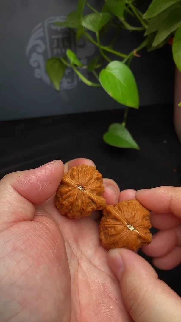 【闪购商品】文玩核桃把件37尺铁锤