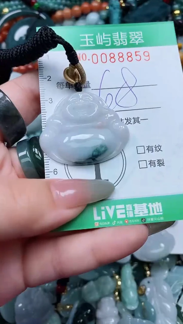【闪购商品】翡翠颈饰未镶嵌闪购0088859