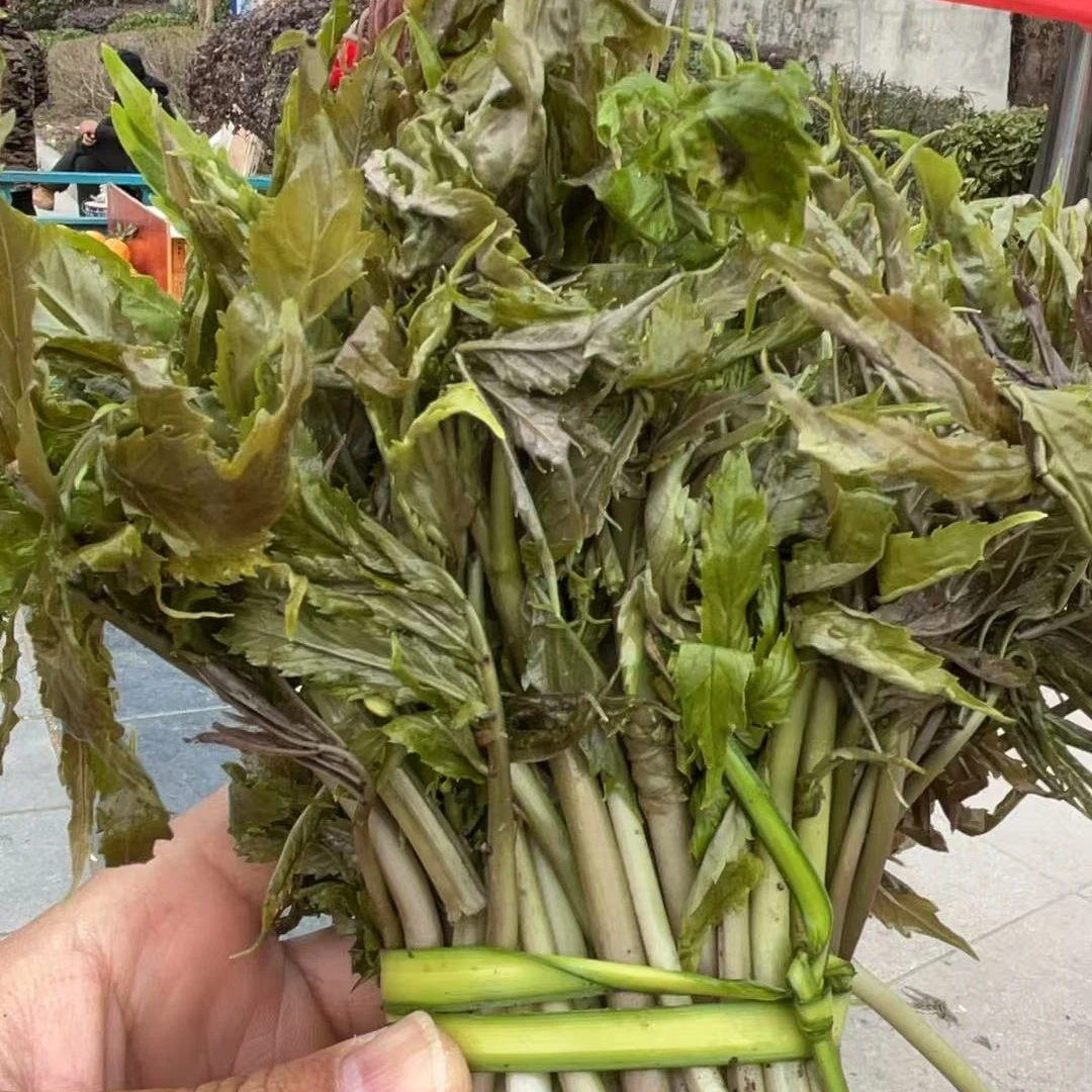 野菜组合套餐-顺丰发货