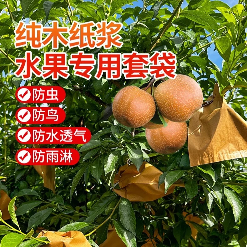 苹果水蜜桃套袋防虫枇杷果农专用袋水果袋秋月梨翠冠梨李子纸袋