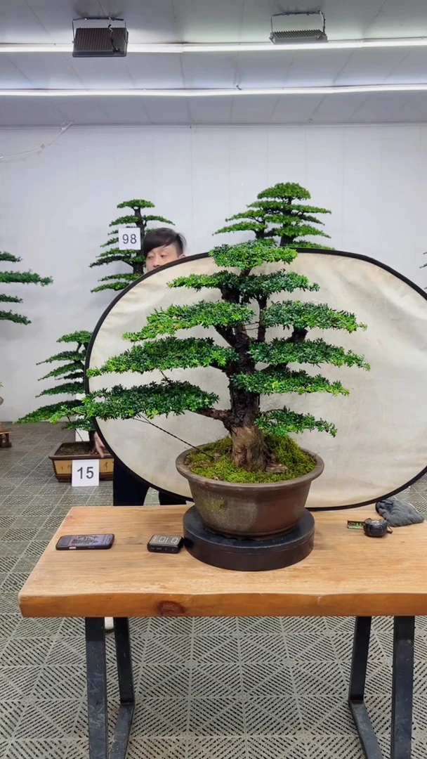 无花朵一物一拍一物一拍