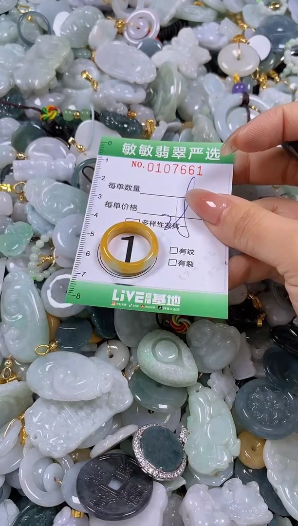 【闪购商品】翡翠颈饰未镶嵌闪购0107661