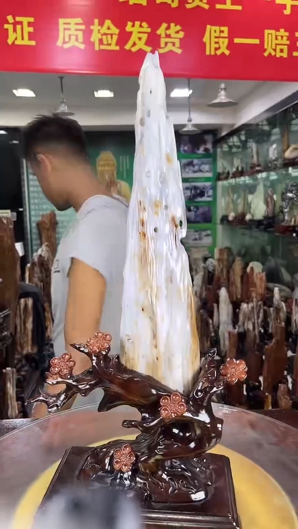 未镶嵌珠宝奇石硅化玉缅甸天然树化玉摆件