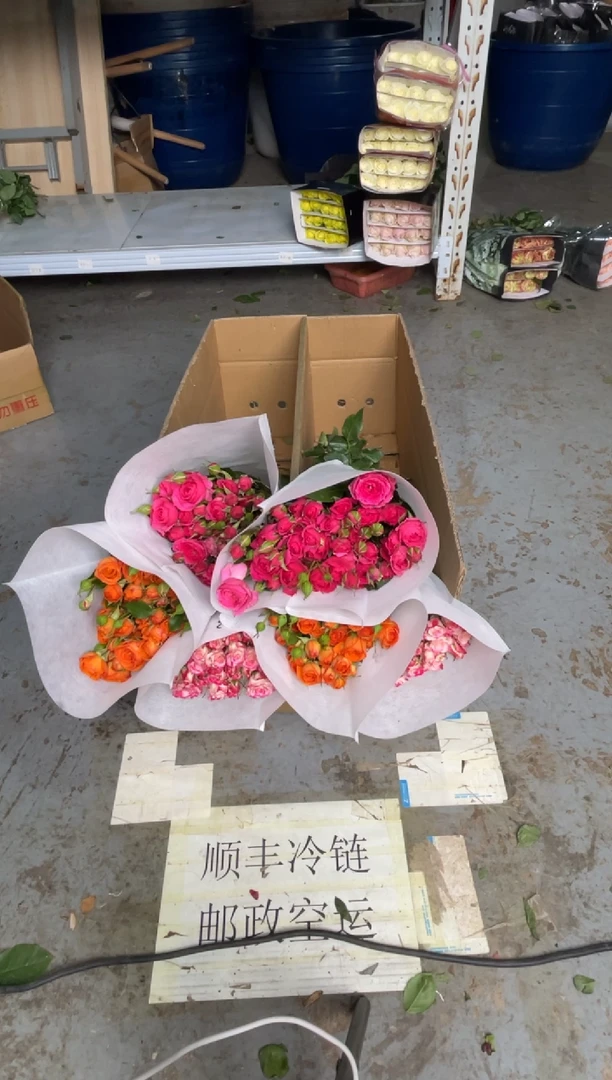 折射10枝+橙色芭比10枝+苏菲10枝
