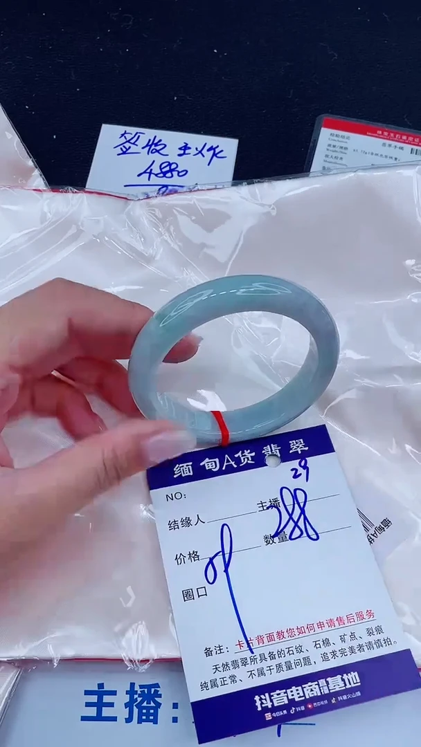 未镶嵌手镯翡翠288