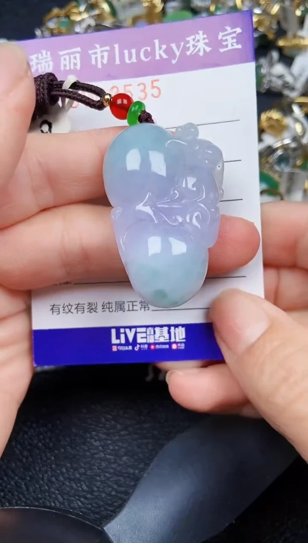 翡翠未镶嵌颈饰2535