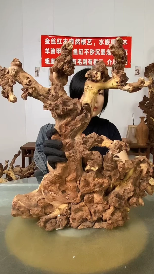 香榧木风*潇金丝红木 羊蹄甲