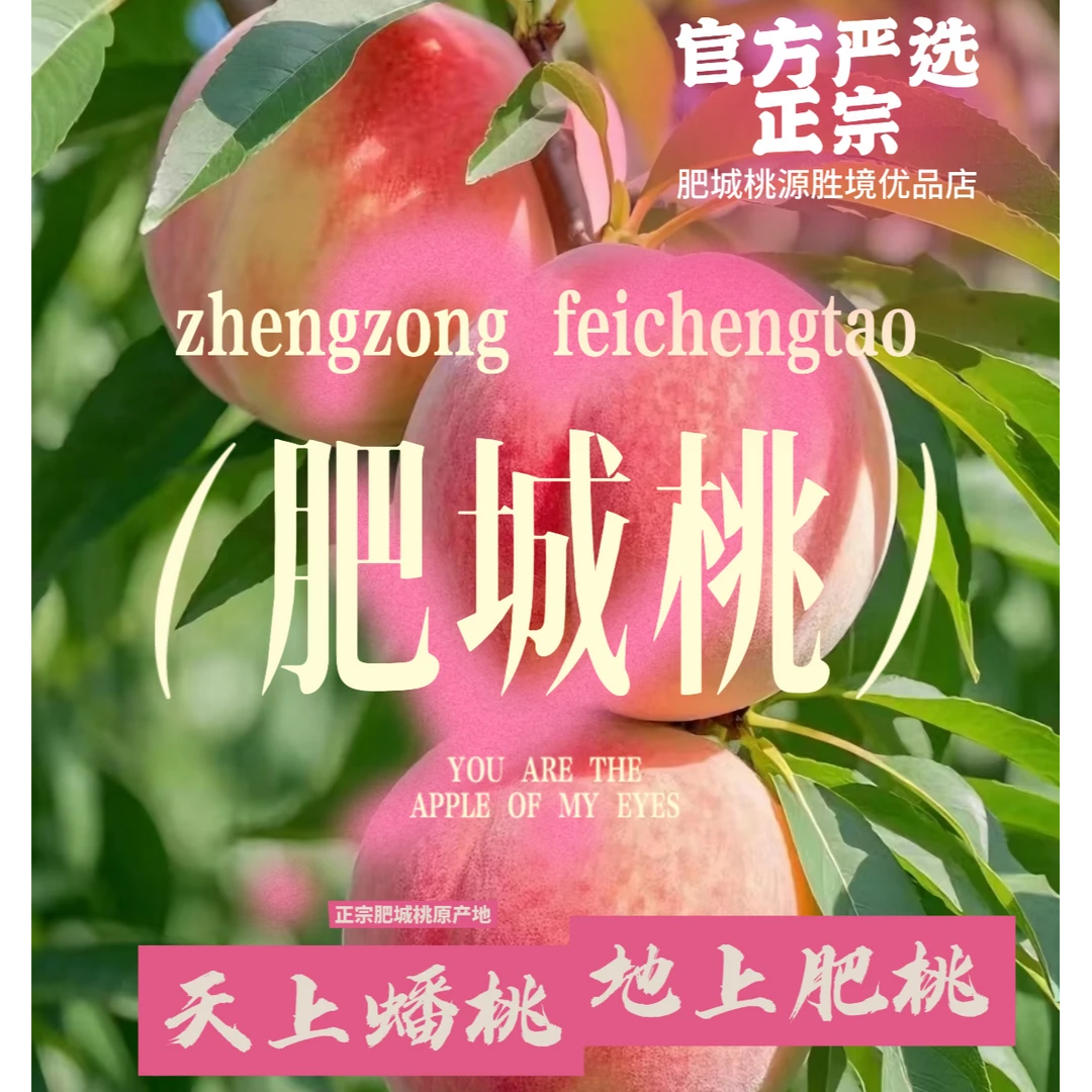 正宗肥城贡桃4个装4斤顺丰包邮