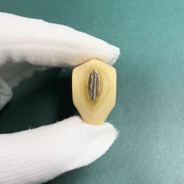 H5763天然猛犸牙鲨鱼背蓝眼三通配饰 支持鉴定 假一罚四