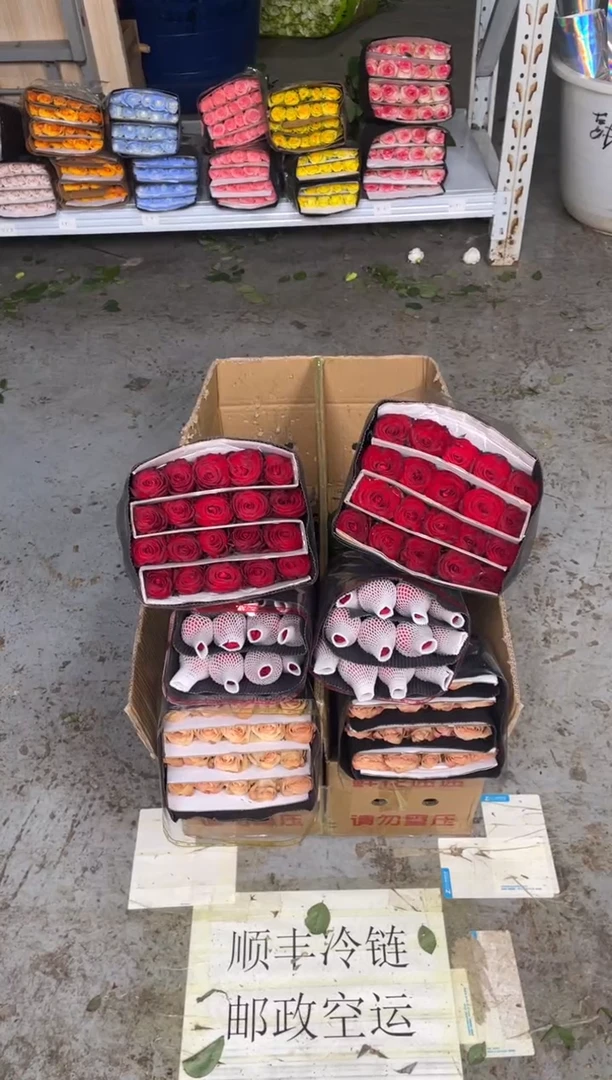 卡布20枝+自由20枝+高原红20枝