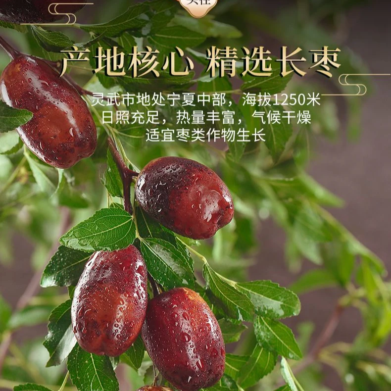 现摘宁夏灵武沙漠长枣新鲜甜枣脆甜红枣水果当季鲜枣