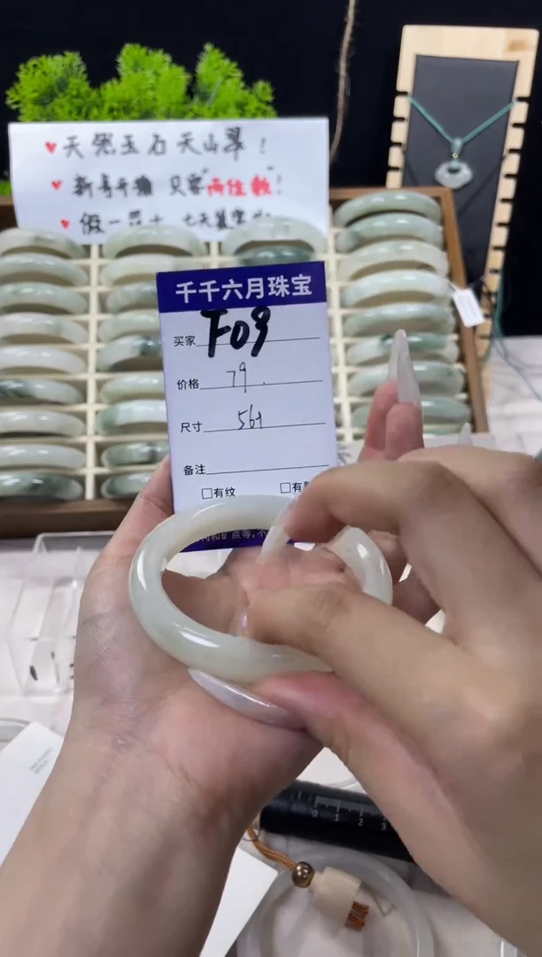 石英质玉（天山翠）手镯未镶嵌f09