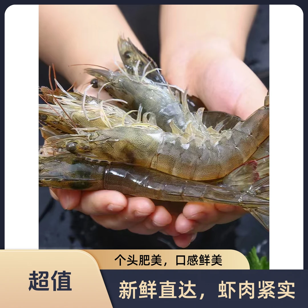 【鑫鑫优选】19.99不限量不限购精品海水明虾（500G/一斤装） （包鲜不包活）