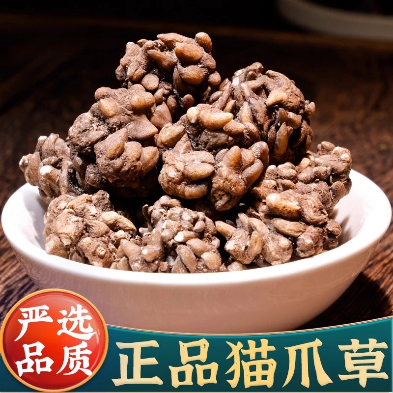 正宗猫爪草武当山农村猫爪草生另夏枯球蒲公英泡水煮水