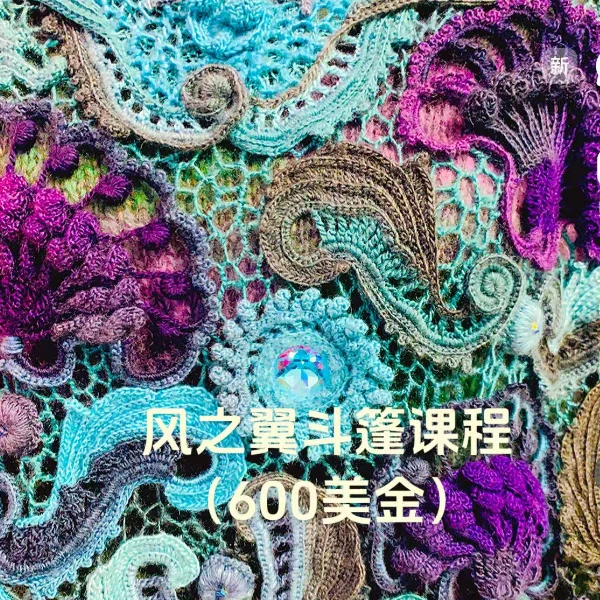 600美金爱尔兰单元花线上课-知识服务读书卡