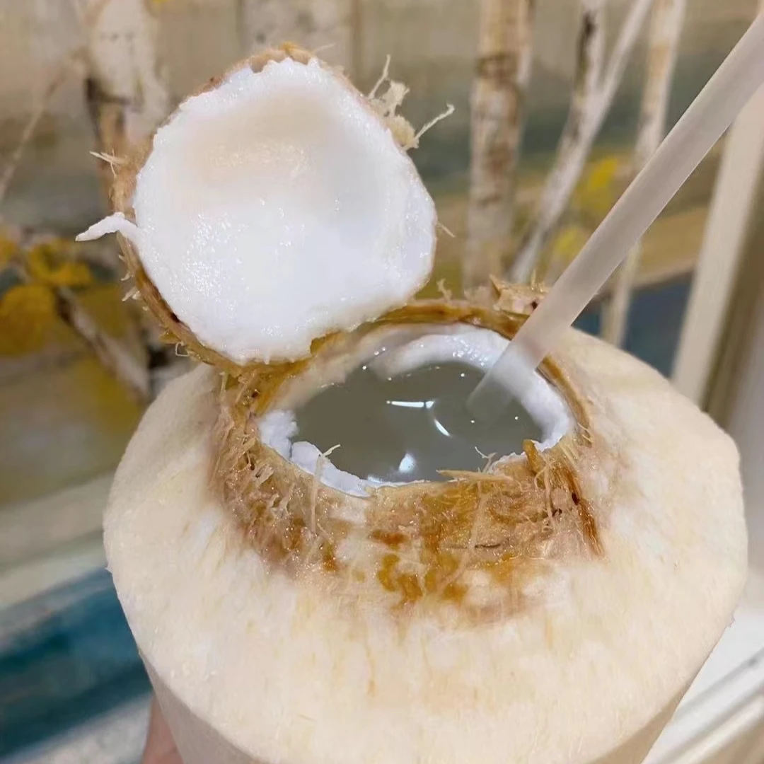 【直播】椰青1个 新鲜椰子天然果汁 800g左右