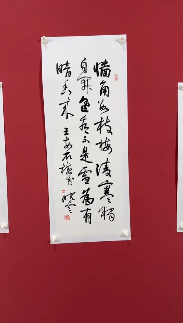 书法墙角数枝梅书法11