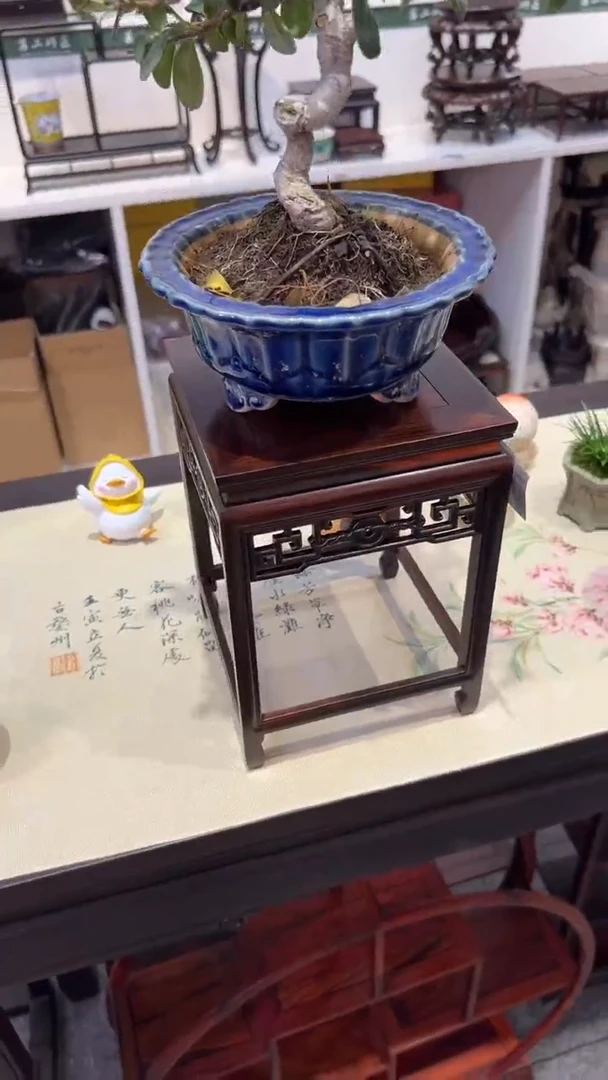 【闪购商品】紫砂1紫砂紫砂紫砂紫砂紫砂