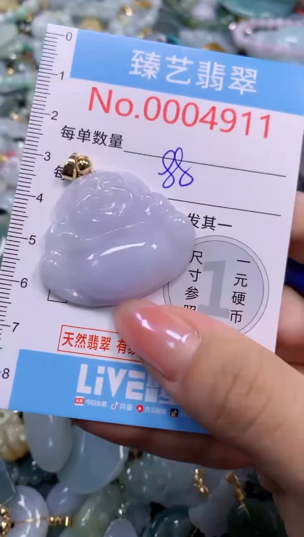 颈饰未镶嵌翡翠4911