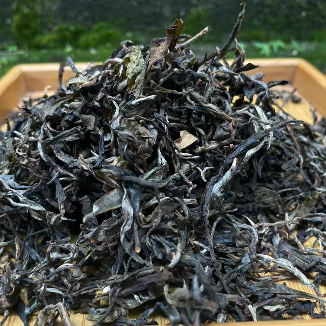 2025年【倚邦熊猫耳朵】云南普洱茶 生茶 散茶 石运亨通S666号