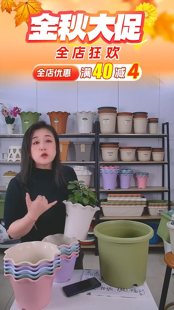 6套荷叶边5002，米白色，带托盘