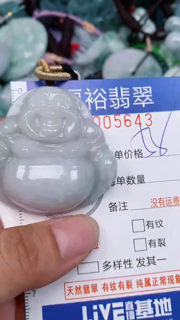 翡翠未镶嵌颈饰...0005643