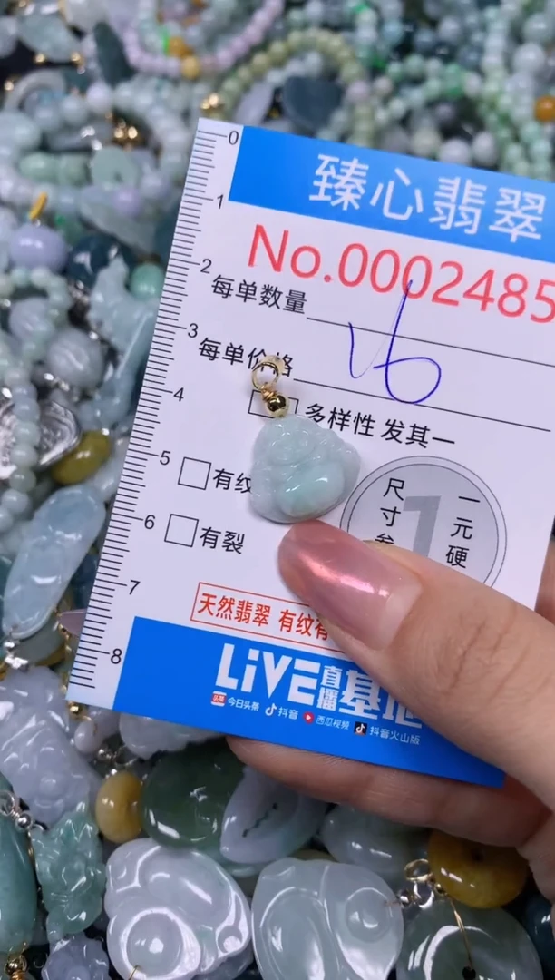 【闪购商品】翡翠颈饰未镶嵌含绳0002485