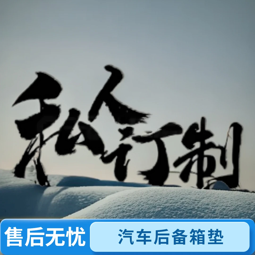 汽车全包围后备箱垫主播定制专拍链接