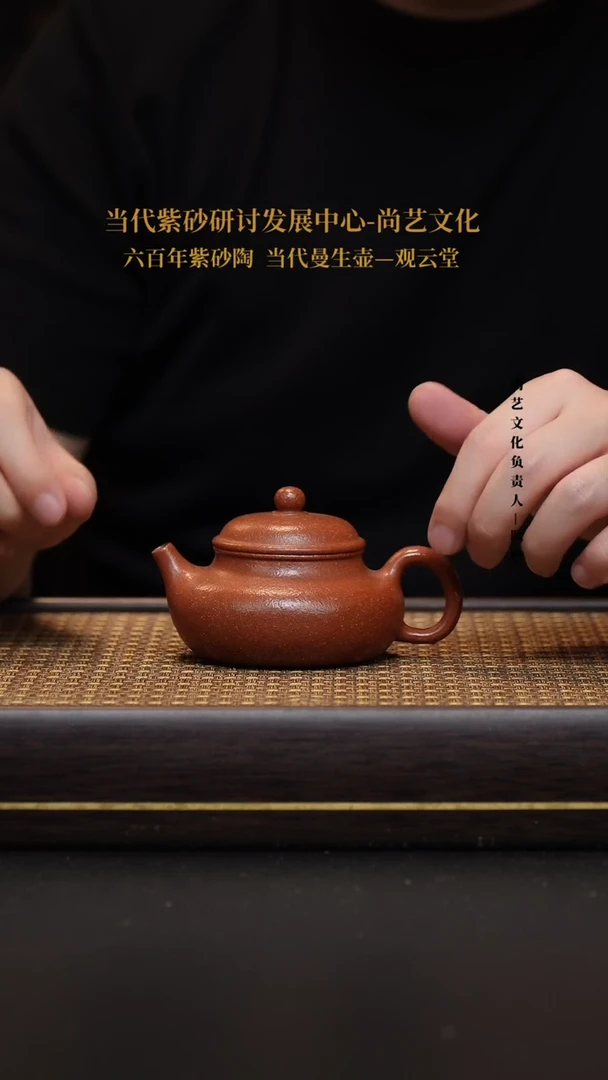 茶壶紫砂宜兴紫砂壶容天